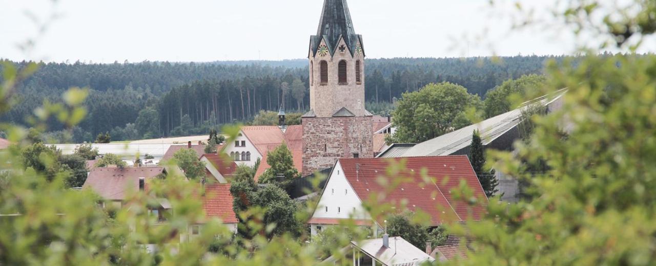 Готель Alte Schmiede Dunningen Екстер'єр фото